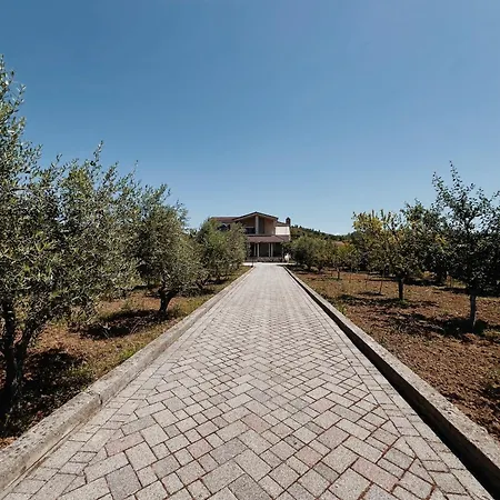Briza Villa Tirana